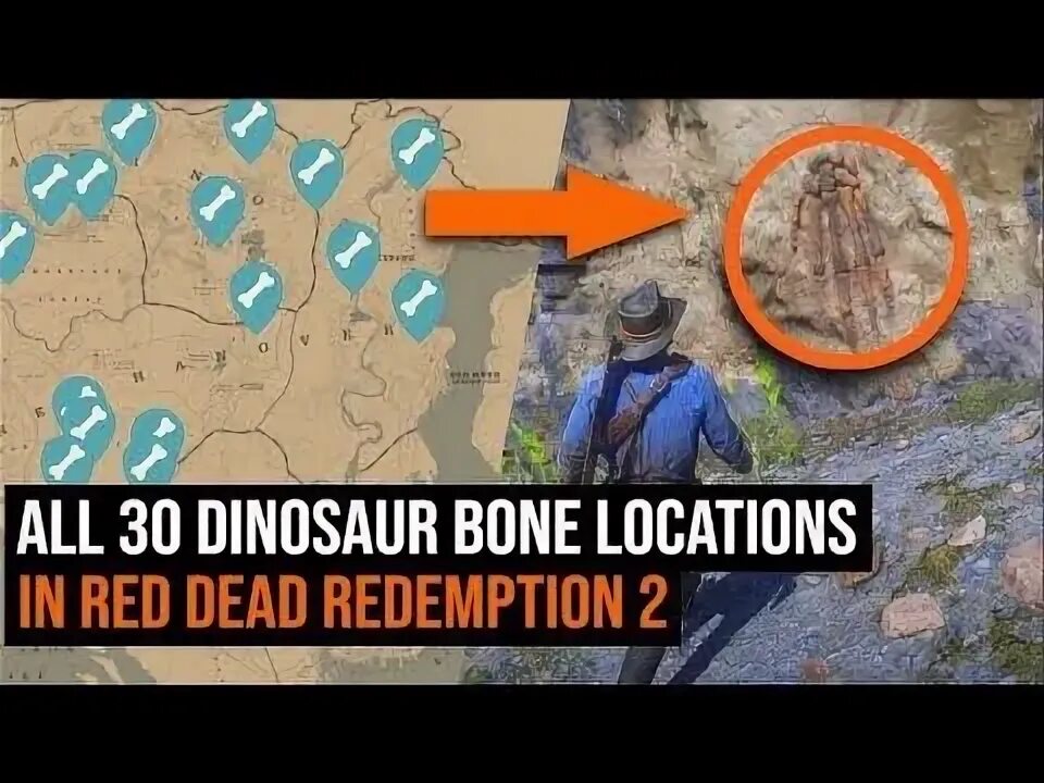 Red dead redemption 2 динозавр. Кости динозавров в рдр 2.
