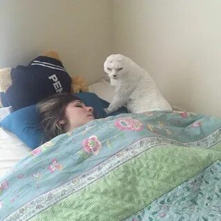 Я приютил девушку