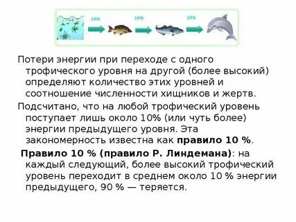 Сколько энергии переходит на уровень