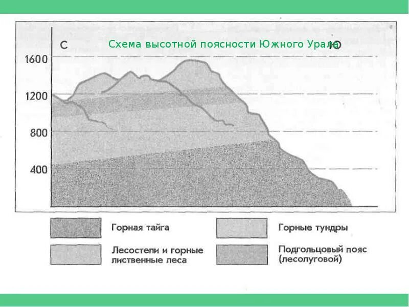 Высотная поясность Южного Урала. Уральские горы Высотная поясность схема. Высотная поясность восточного склона Урала. Высотная поясность уральских гор. Высотная поясность урала и кавказа