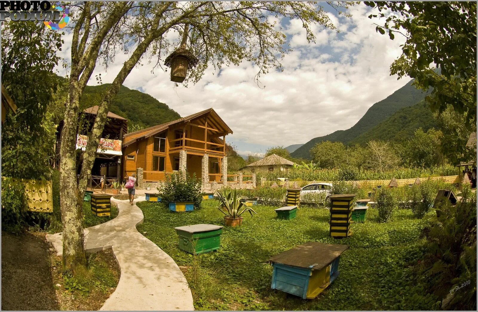 Пасека краснодарский край. Пасека 25 красная поляна. Медовая пасека красная поляна. Медовый двор абхазия. Улей сочи.