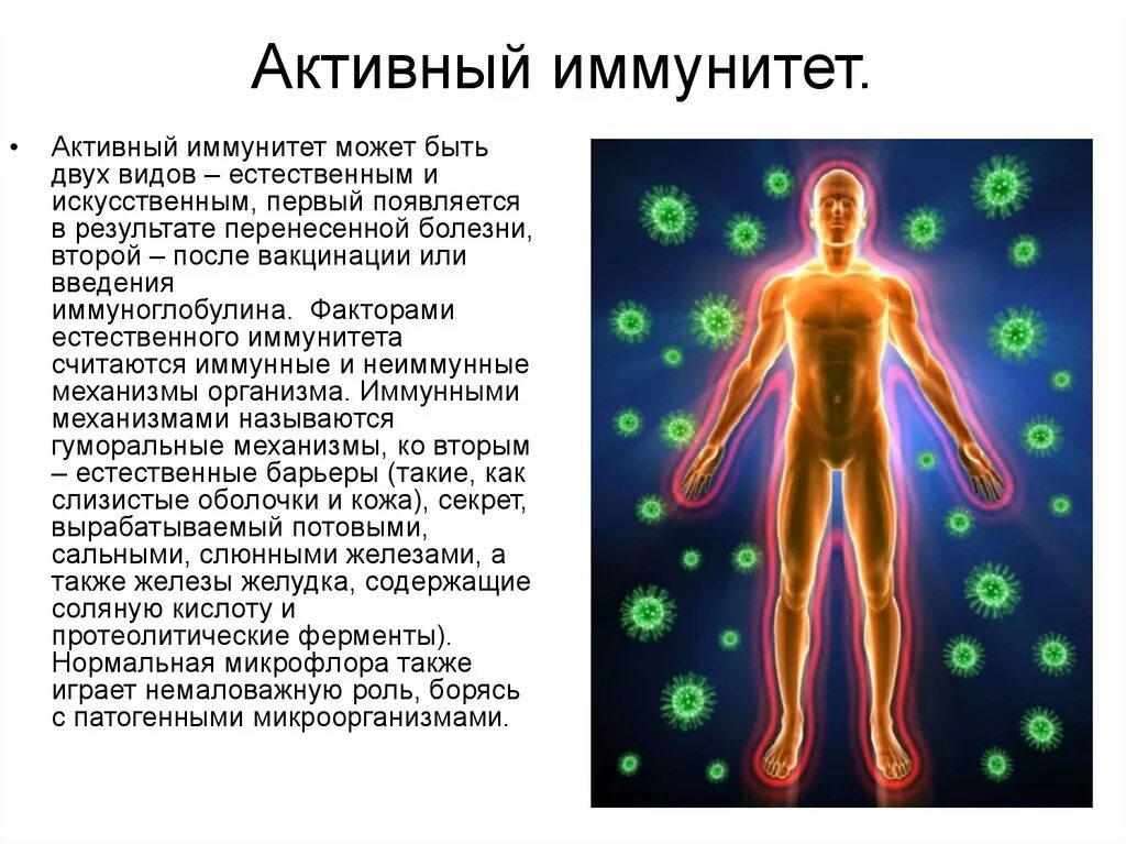 Иммунные проблемы. Активный иммунитет. Искусственный иммунитет активный и пассивный. Активный иммунитет развивается после введения. Естественный иммунитет человека.