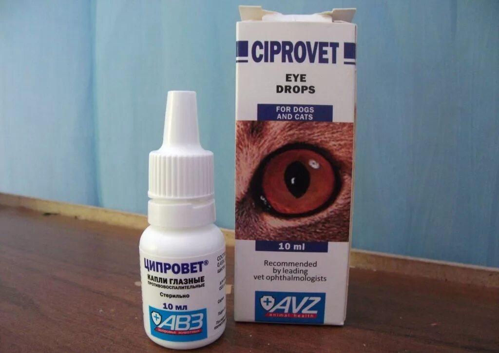 Какие капли котам в глаза. Ципровет глазные капли. ципровет для собак капли глазные. капли глазные кошачьи ципровет. ципролет глазные капли для животных.