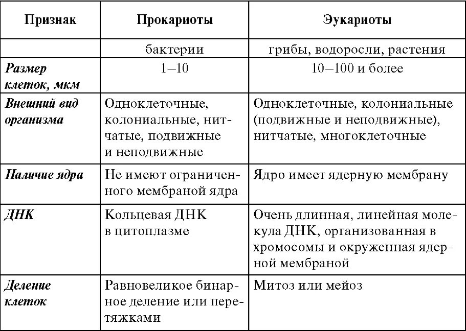 Основные признаки прокариот. Сравнение прокариот и эукариот таблица. Признаки прокариоты и эукариоты таблица. Отличительные признаки прокариот и эукариот таблица. Прокариотическая и эукариотическая клетка характеристика.