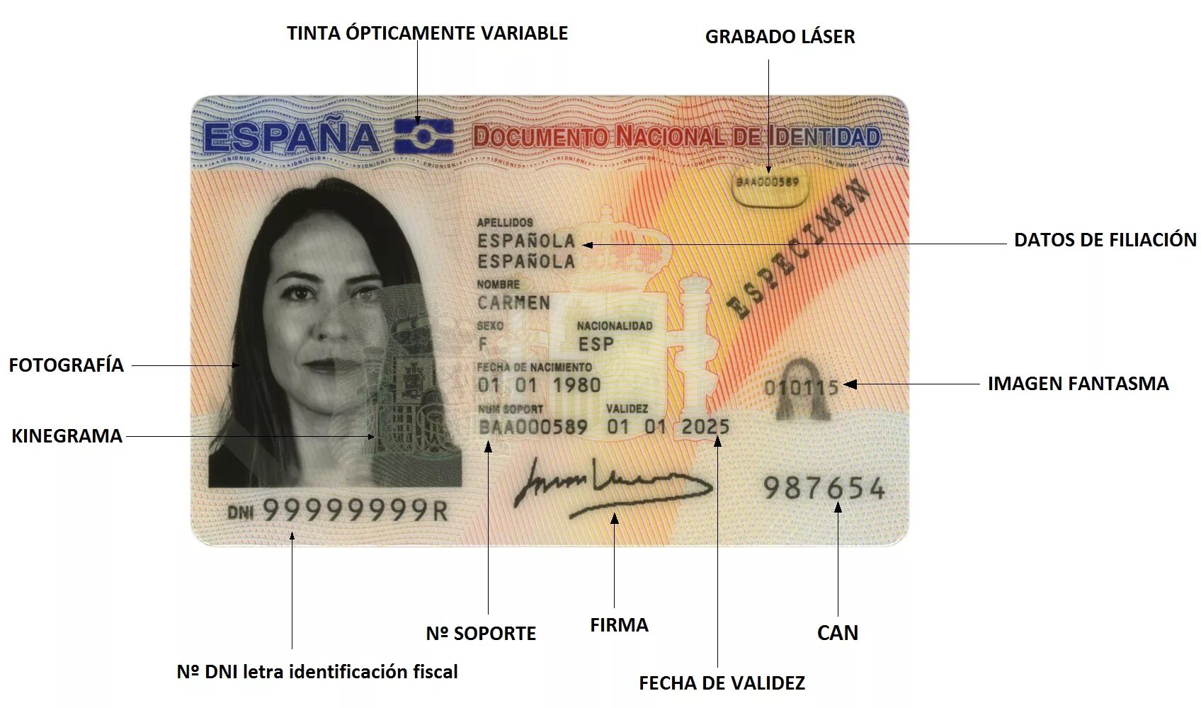 ID карта Испании. Dni/nie Испания. Dni что это в Испании. Испанская ID Card. Paired id