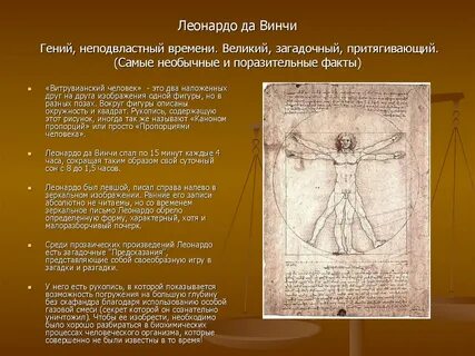 История золотой пропорции