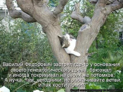 Ну ка ты там
