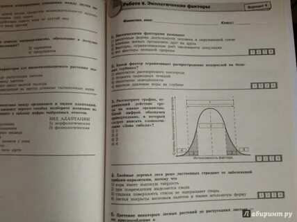 Разбор 1 варианта рохлова