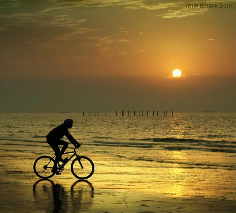 Велосипед на закате. Велик и море. Велосипед море. Велосипед на закате. Красивые велосипеды.