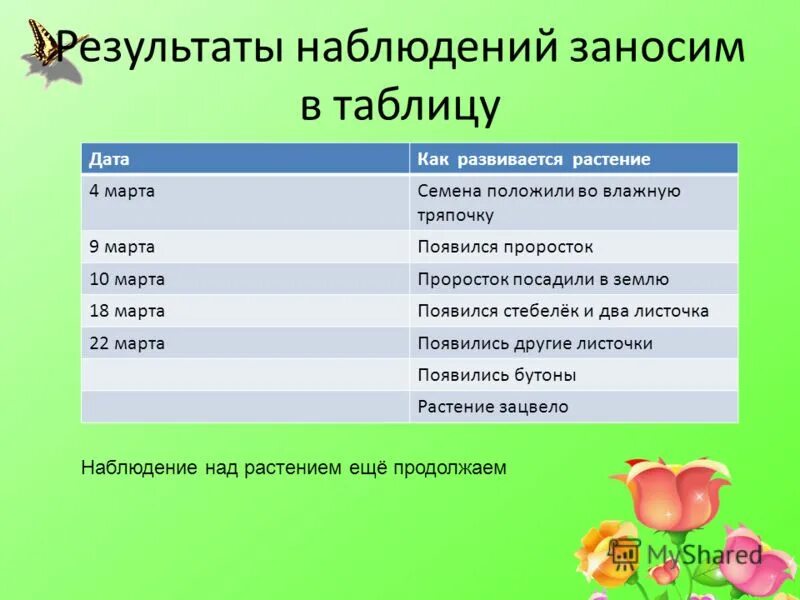 Наблюдение за ростом и развитием фасоли. Таблица наблюдения за растениями. Дневник наблюдений за растениями. Дневник наблюдений за комнатными растениями. Дневник наблюдений за растениями наблюдений.