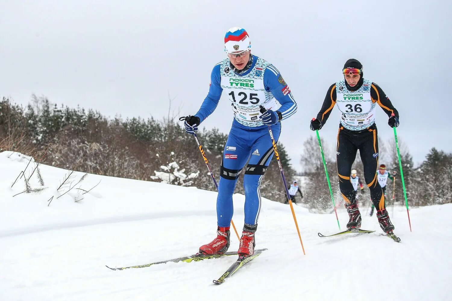 Лыжный спорт программы