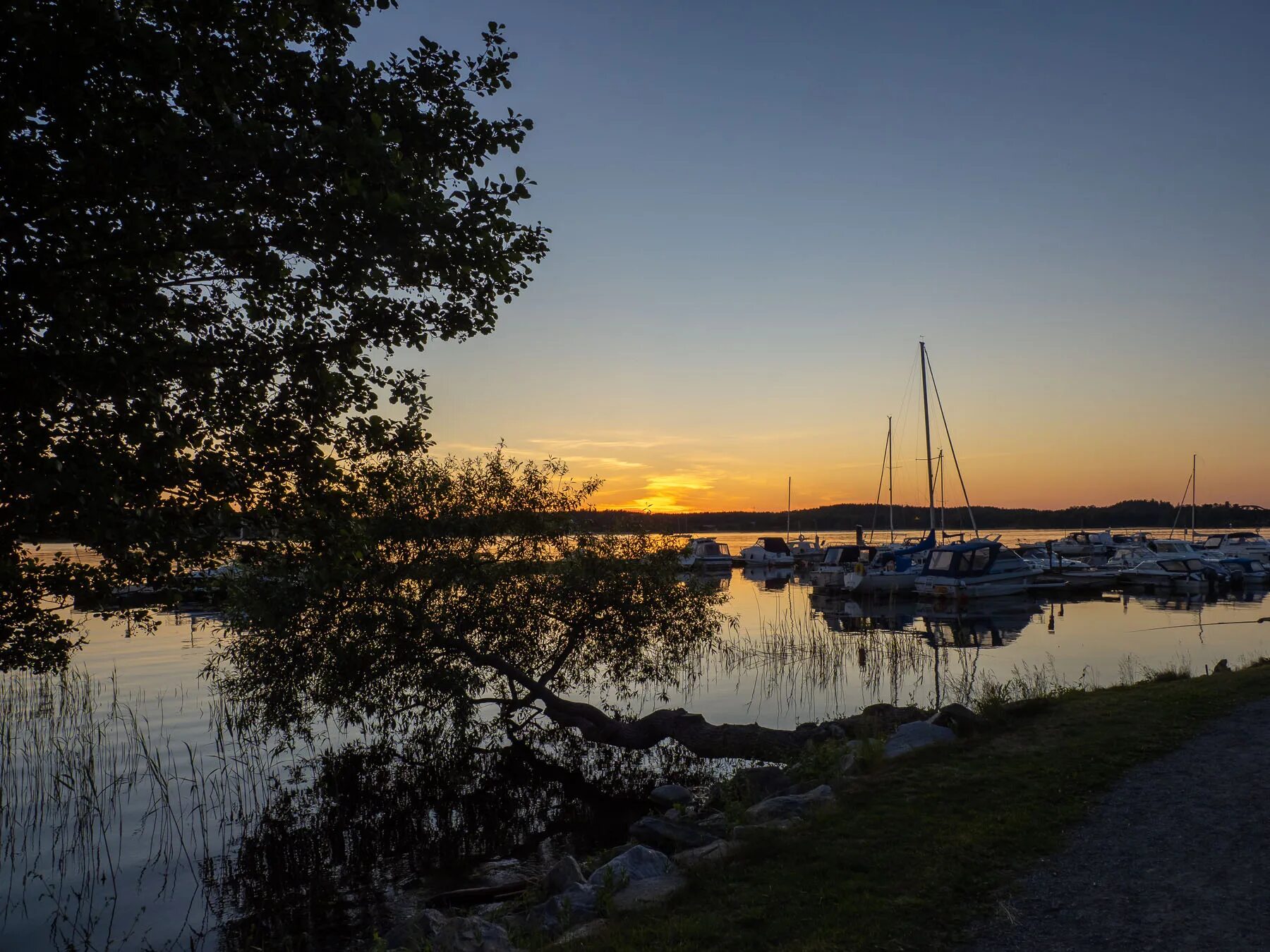 поселок белые ночи. поселок лесозаводский мурманской области панорама. лесозаводское озеро. река оредеж ленинградская область. река оредеж ленинградская.