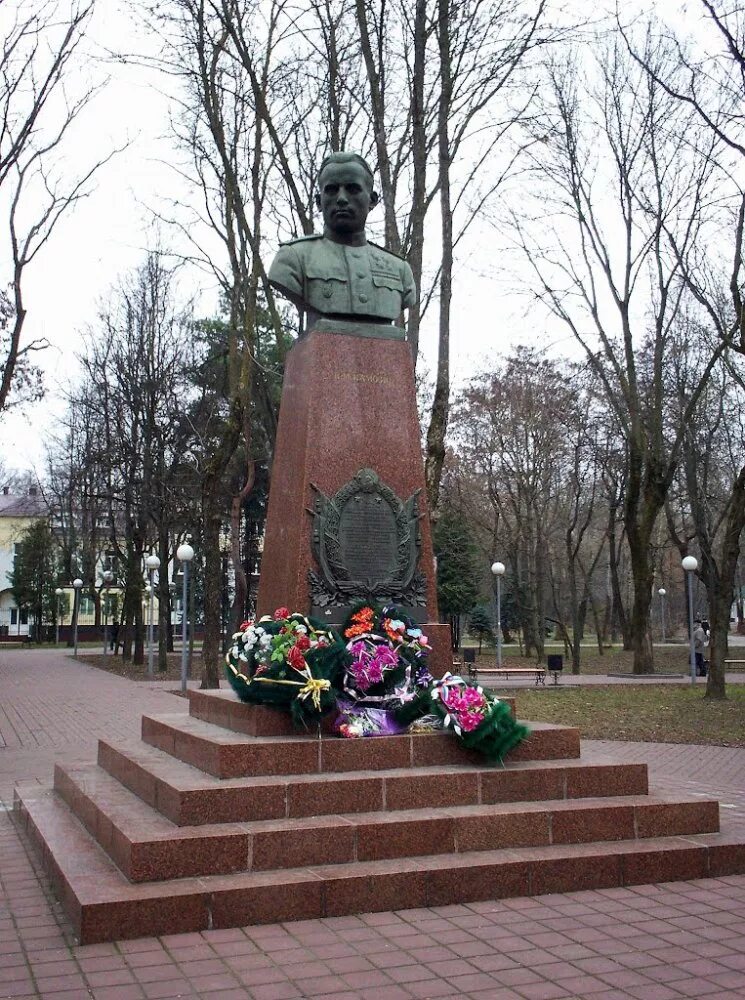 границы районов брянска. бежицкий район дк бмз. в бежецком районе города брянска. дом купцов андреевых бежецк. бежецк музей андреева.