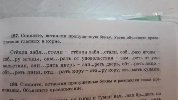 Спиши вставь пропущенные буквы подобрав проверочные. Вставь пропущенные буквы устно объясни. Вставьте пропущенные буквы .устно объясните правописание. Вставьте пропущенные буквы, объясните правописание корней слов:. Прочитай. Спиши вставляя пропущенные буквы. Устно.