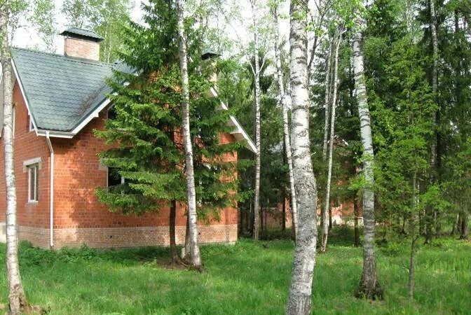 Лесное спб пушкинский. Храму покрова пресвятой богородицы в лесном. Поселок лесной московская область. Поселок лесное пушкин. Храм покрова богородицы в лесном.