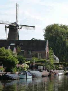 Holland dutch