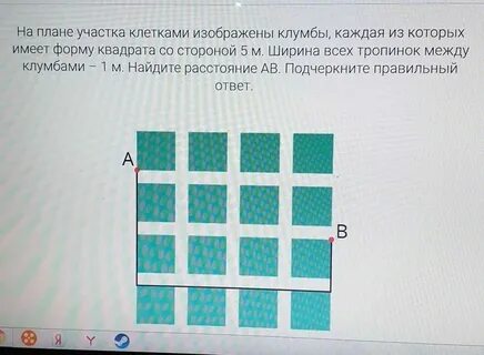 На квадратном поле 8х8 растут