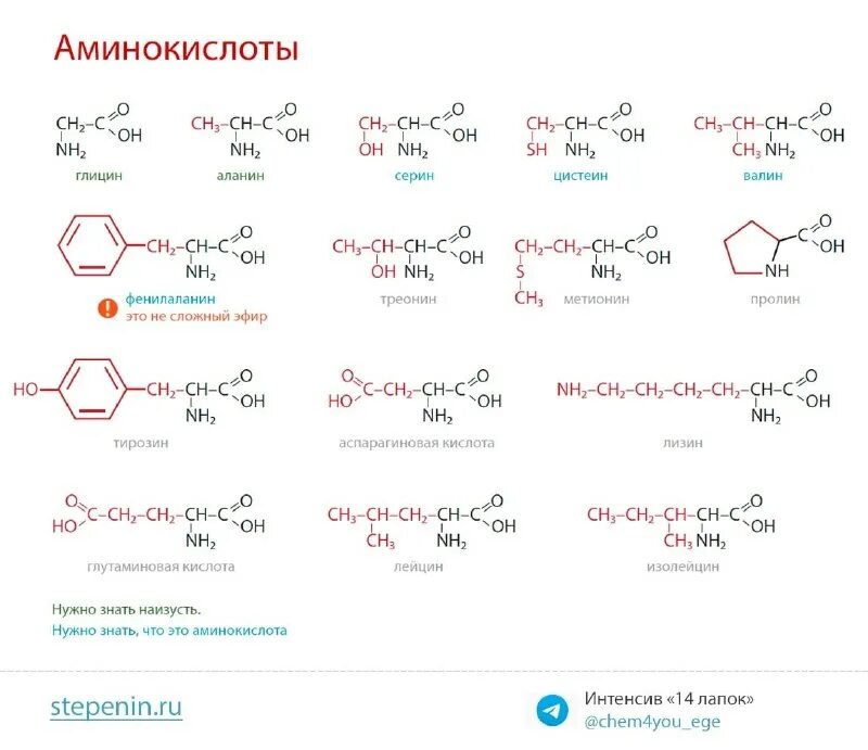 Степенин егэ химия вариант 1. Степенин органическая химия тесты. Степенин егэ химия вариант 1. Егэ степенин варианты. Степенин егэ химия вариант 1.