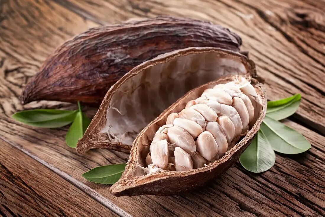 Cacao as a Superfood - Taste Buds, The Superfoods