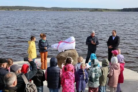 Ладожская нерпочка