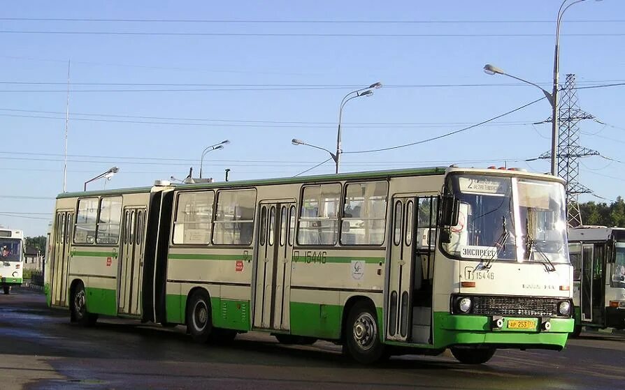 Королев автобусов 15
