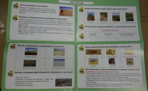 Наглядное пособие по окружающему миру
