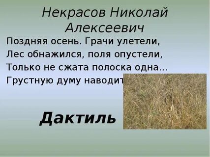 Стихотворение поздняя осень грачи улетели лес