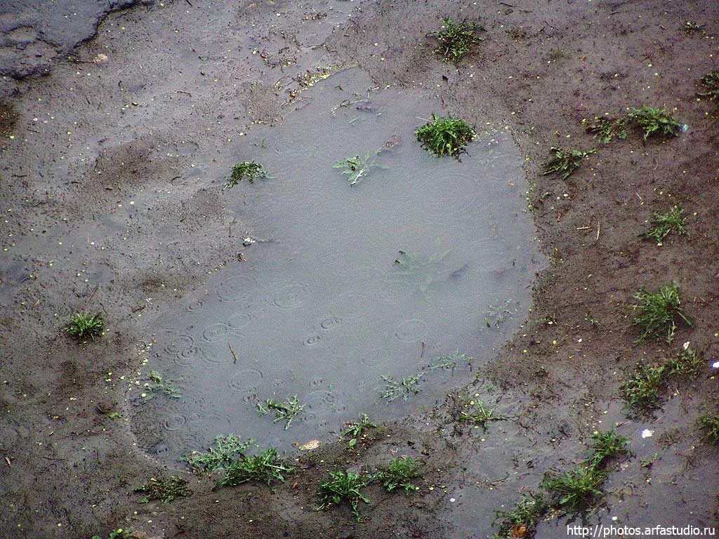 Лужа. Лужа сверху. Лужа вид сверху. Лужи на асфальте. Вода из грязной лужи