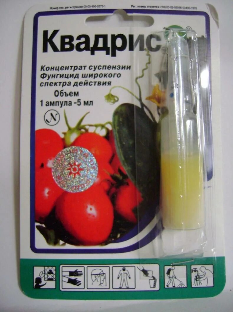 Препарат для завязи томатов в теплице. Препарат ридомил мц. Для завязи помидор в теплице. Препараты от фитофтороза на томатах. Препараты от фитофторы.