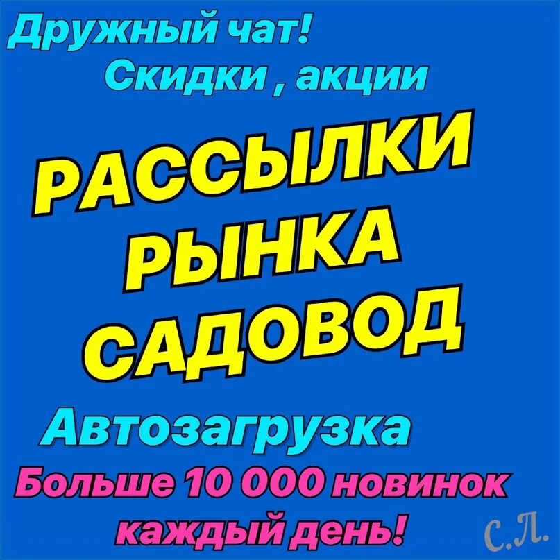 Группа садовод. Садовод выгрузка. Автовыгрузка садовод. Садовод выгрузка. Садовод выгрузка.