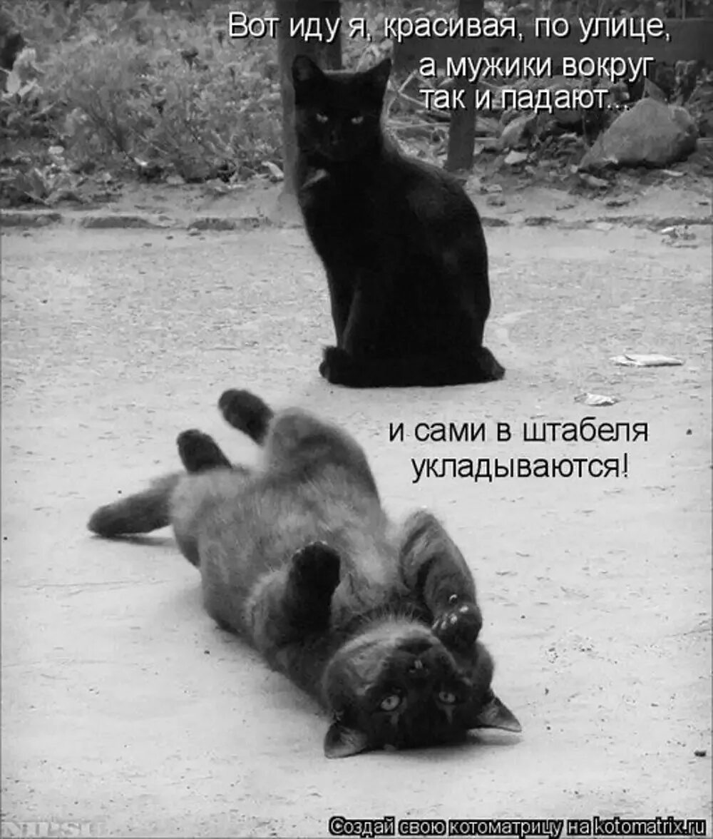 Она упадет как увидит