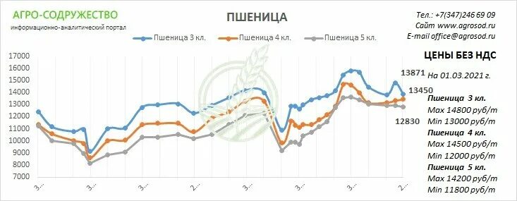 Мониторинг цен на зерно. Динамика цен на пшеницу 2025. динамика цен на зерно в 2025 году. график цен на зерно. пшеница цена.