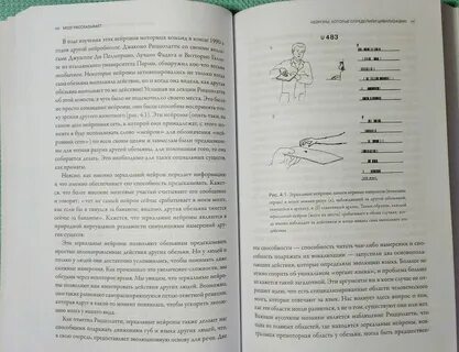 Мозг рассказывает что делает нас людьми