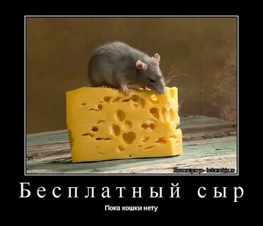 Бесплатного то нету