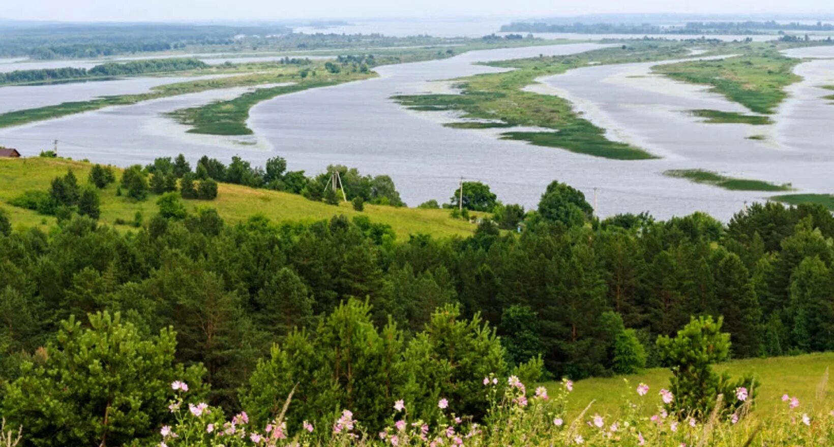 Зуевы ключи Удмуртия. Зуевы ключи Каракулинский район. Каракулинский район Усть Бельск. Национальный парк Усть Бельск Удмуртия. Природные достопримечательности удмуртии