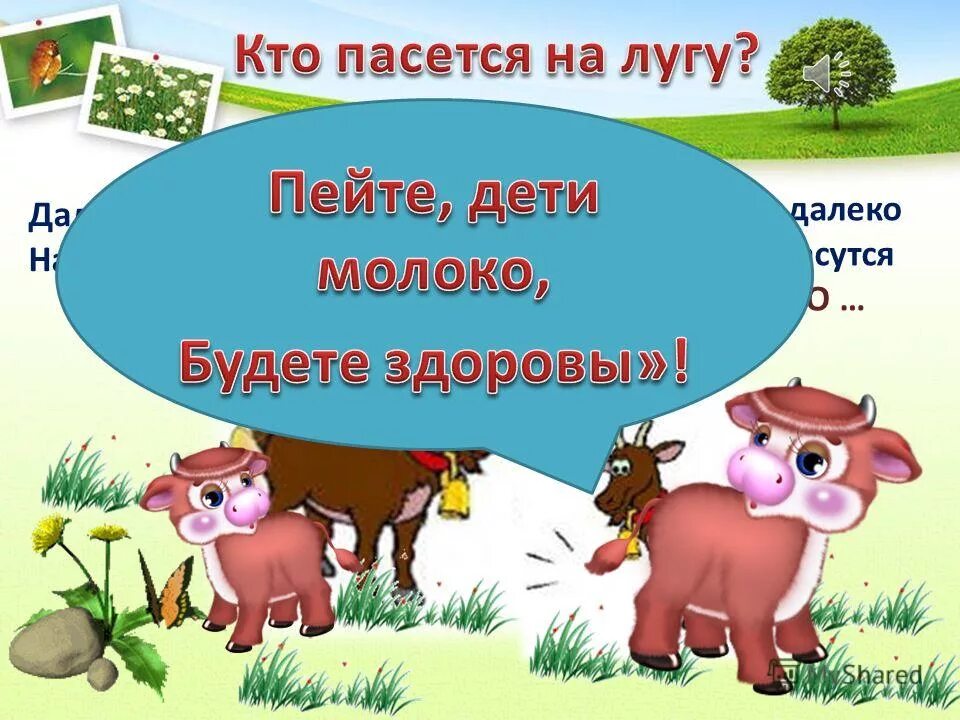 Произведение на лугу. На лугу пасутся ко. Кто пасется на лугу. Далеко на лугу пасутся ко.