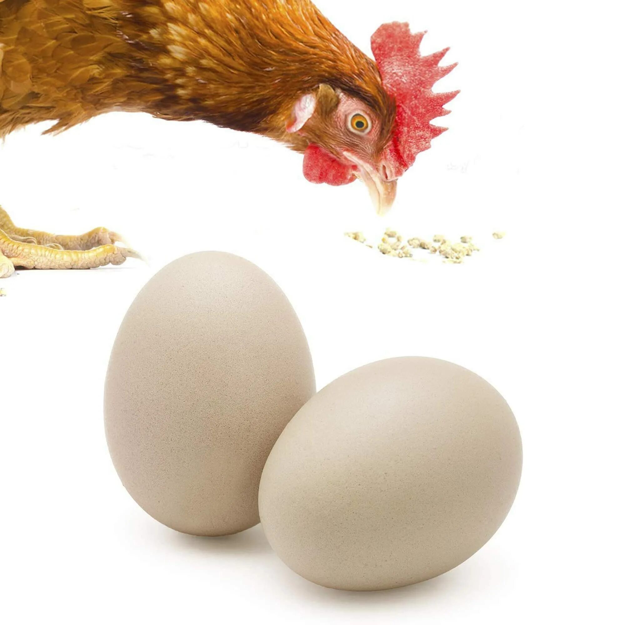 Покажи яйцо курицы. Курица с яйцами. Курочка с яйцами. Яйца куриные Курочка. Курочка с яичками.