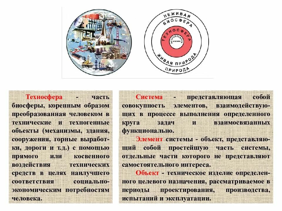 Совокупность взаимодействующих элементов