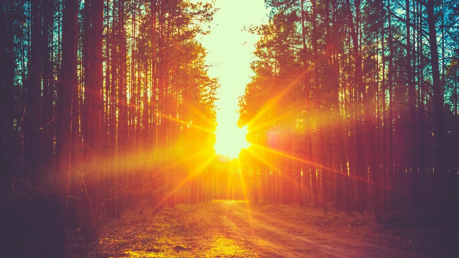 Солнце слепит. Яркое солнце. Солнце эзотерика. Божественный свет. Сновидения.