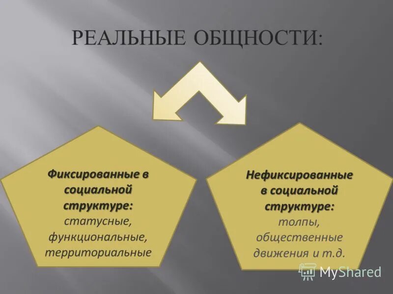 Социальная общность. Фиксированные социальные общности. Реальные общности примеры. Реальные социальные общности примеры. Виды реальных социальных общностей.