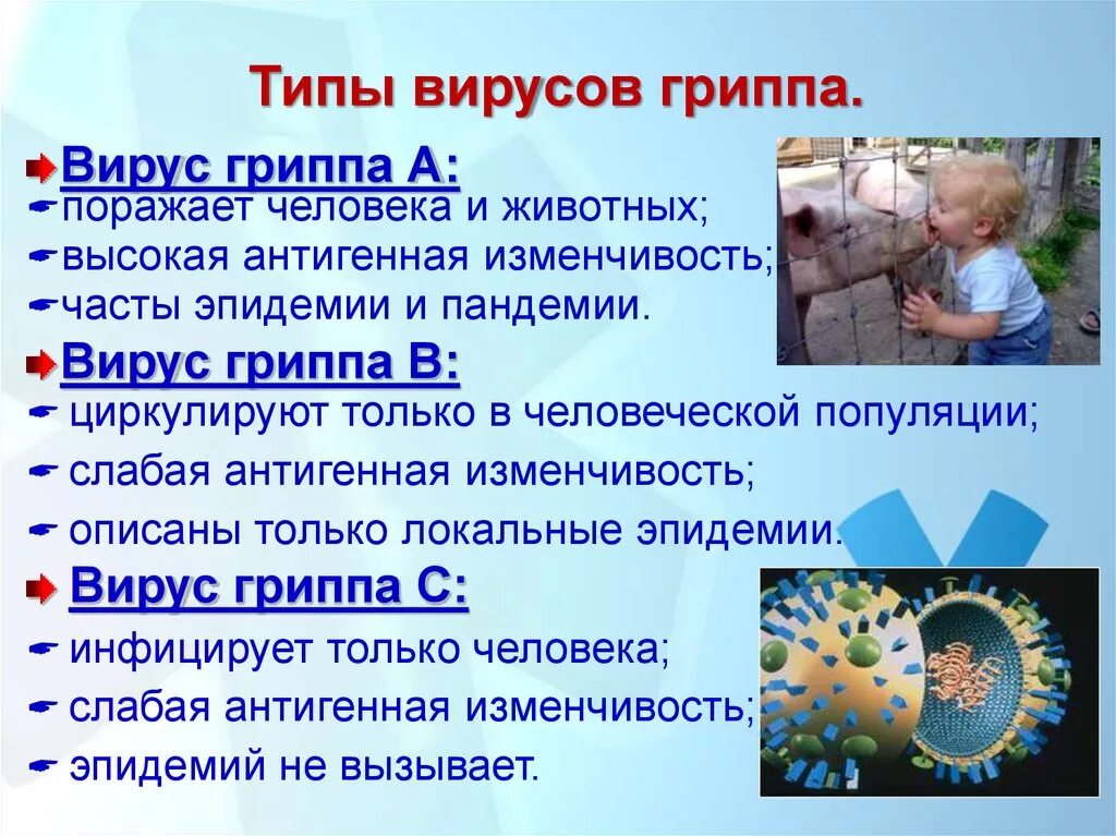 Условия для распространения гриппа. Грипп типа а. виды гриппа. виды вирусов гриппа. разновидности вируса гриппа.
