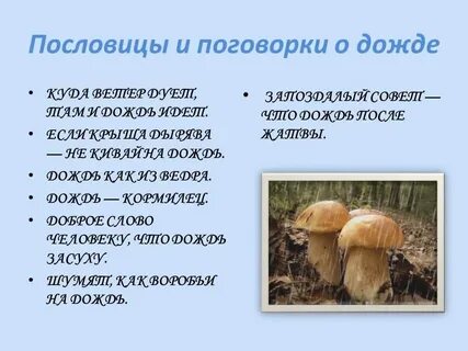 Будет дождик будут и грибки