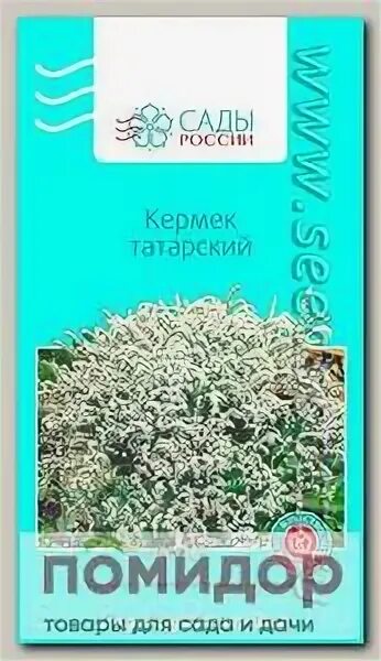 Купить кермек татарский. Кермек татарский семена. Кермек татарский многолетник. Лимониум татарский семена. Кермек многолетний семена.