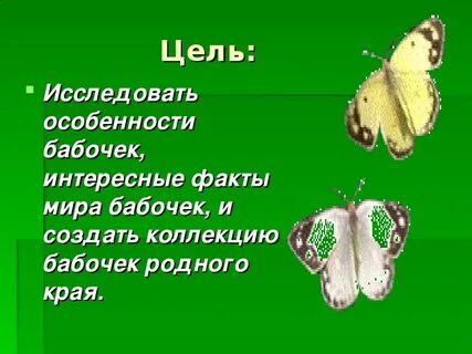 Бабочки 7 класс биология
