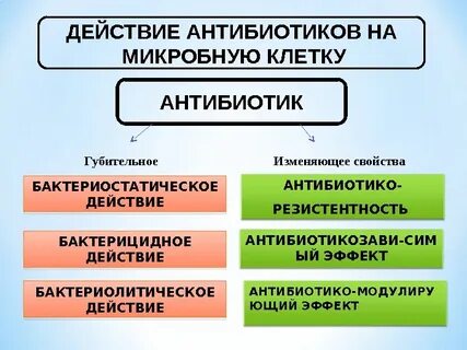 Антибиотики эффективны в отношении