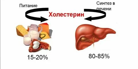 Печень плохо вырабатывает холестерин