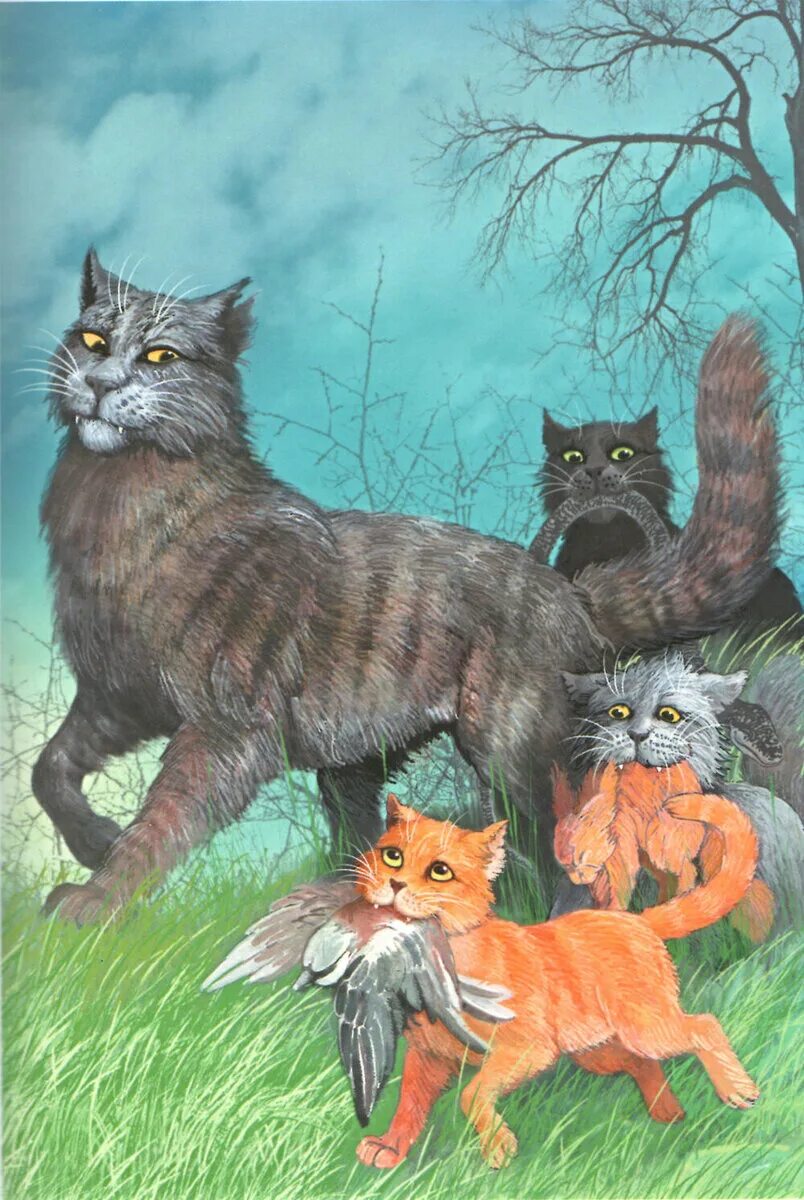 Книга дикий кот. Коты воители огнезвёзд стань диким. огнезвёзд крутобок и горелый. хантер эрин &quot;стань диким!&quot;. коты воители оруженосцы.