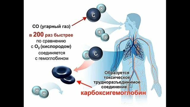 Механизм воздействия угарного газа. Отравление окисью углерода патогенез. Патогенез отравление монооксидом углерода. Влияние угарного газа на организм человека.