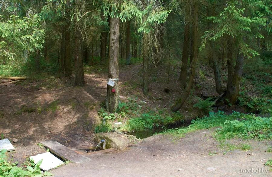 родники расположен. родник рязань. родники под минском. юнкерский родник в мамайском. родники расположен.