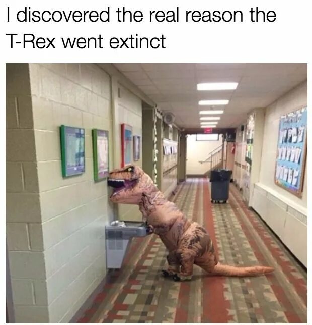Rex go